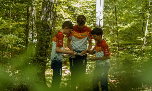 Reprise des entrainements en forêt