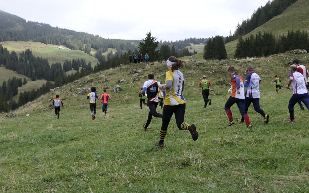 Inscriptions au relais Harzer